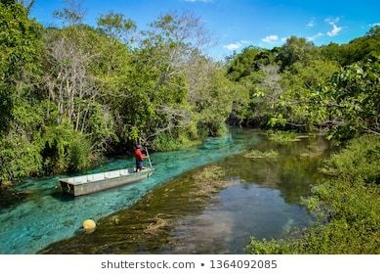 Lugar Mato Grosso