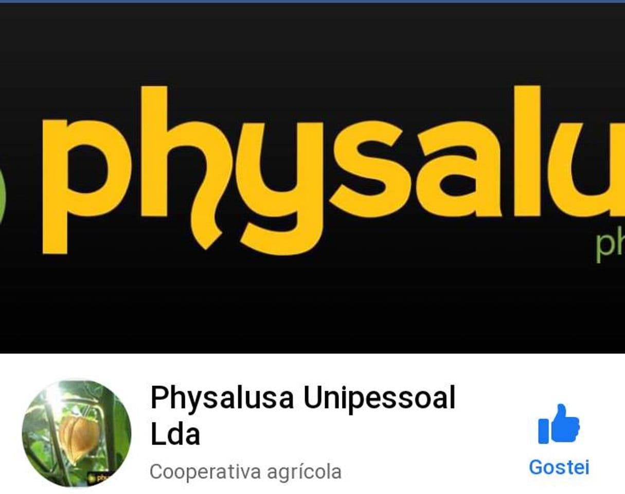 Moda Physalusa unipessoal lda 