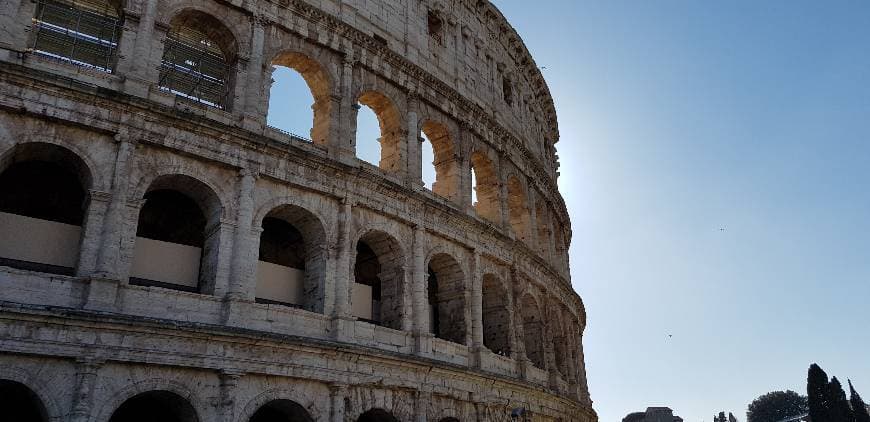 Lugar Coliseo de Roma