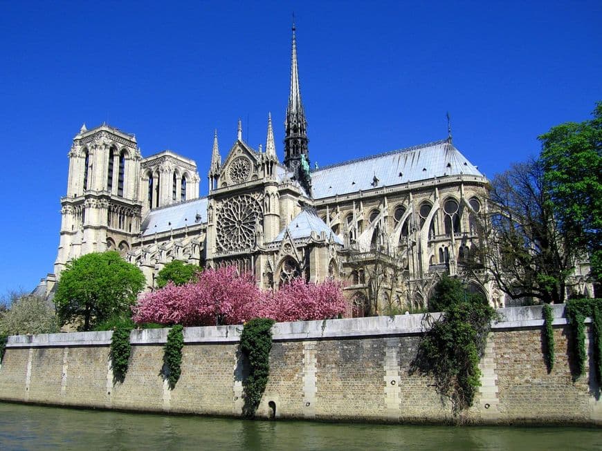 Place Catedral de Notre Dame