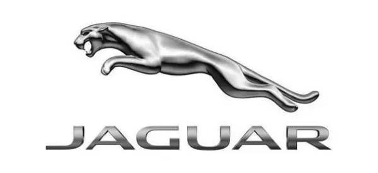 Moda Jaguar