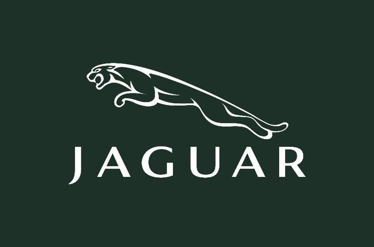 Fashion Jaguar 