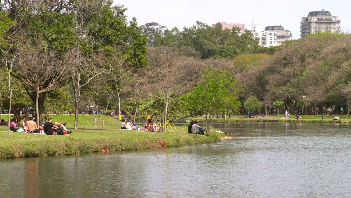 Place Ibirapuera