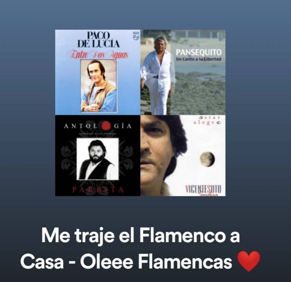 Canción Me traje el Flamenco a casa - Oleee.Flamencas ❤️