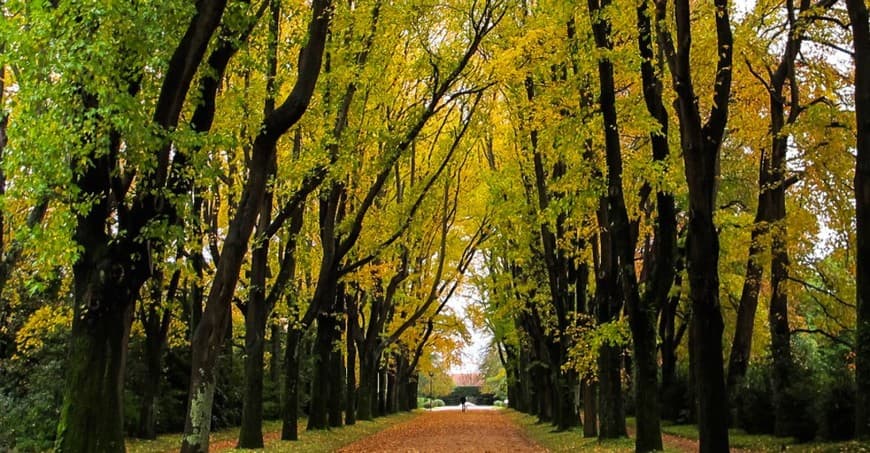 Lugar Parque de Serralves