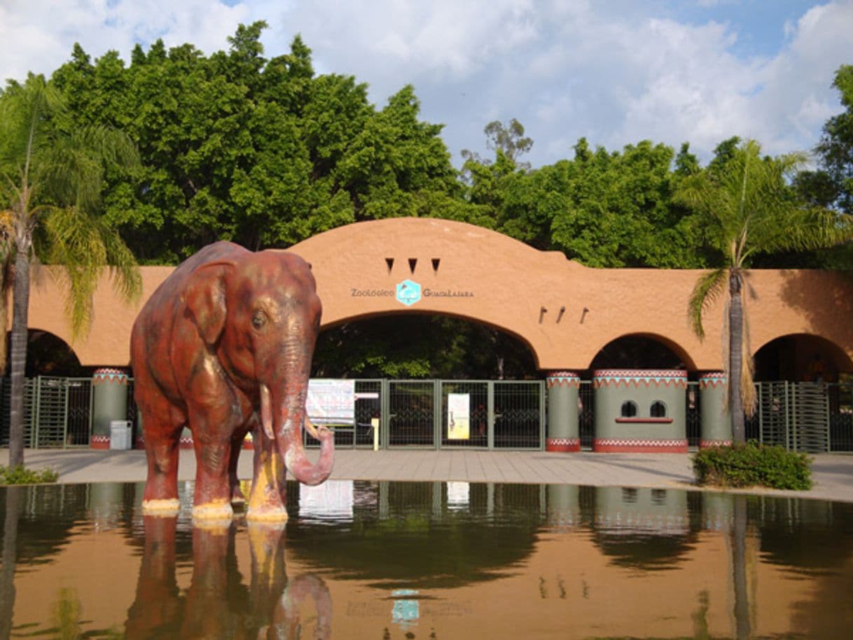 Lugar Zoológico Guadalajara