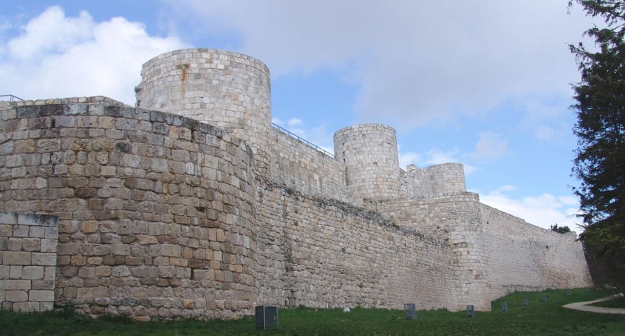 Place Castillo de Burgos