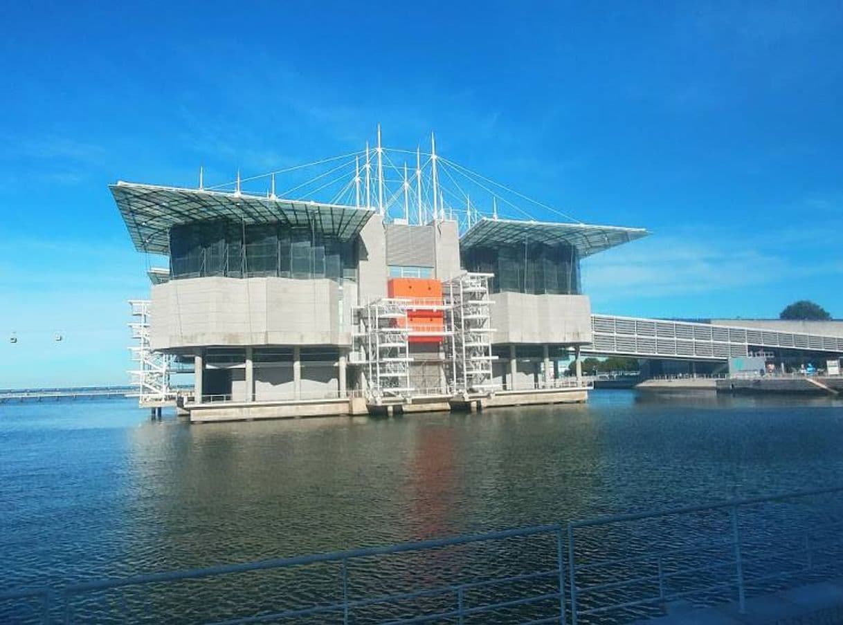 Place Oceanário de Lisboa