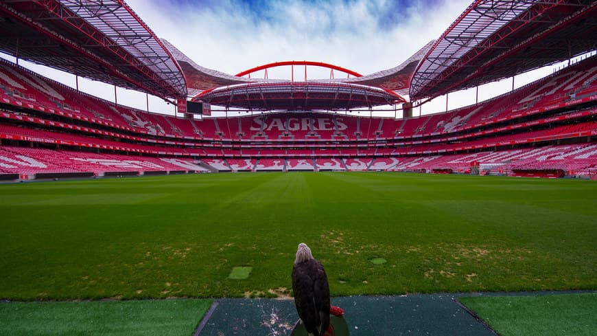 Lugar Estádio Sport Lisboa e Benfica