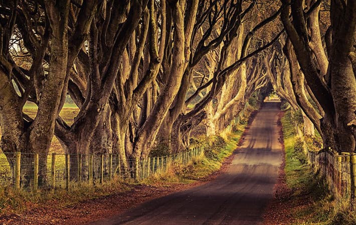 Lugar The Dark Hedges