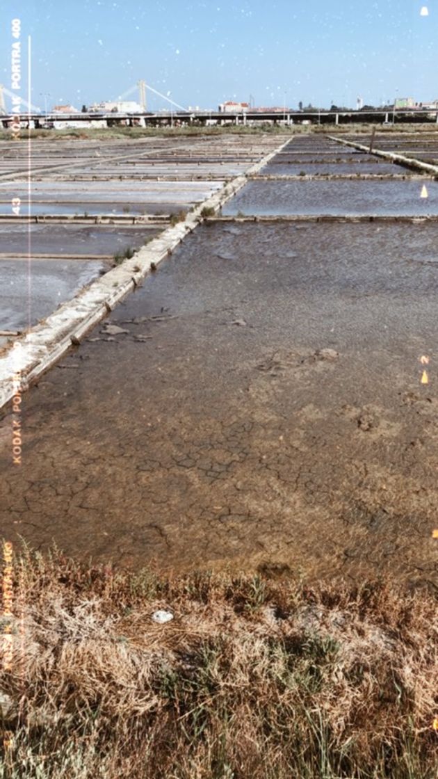 Lugar Salinas de Aveiro