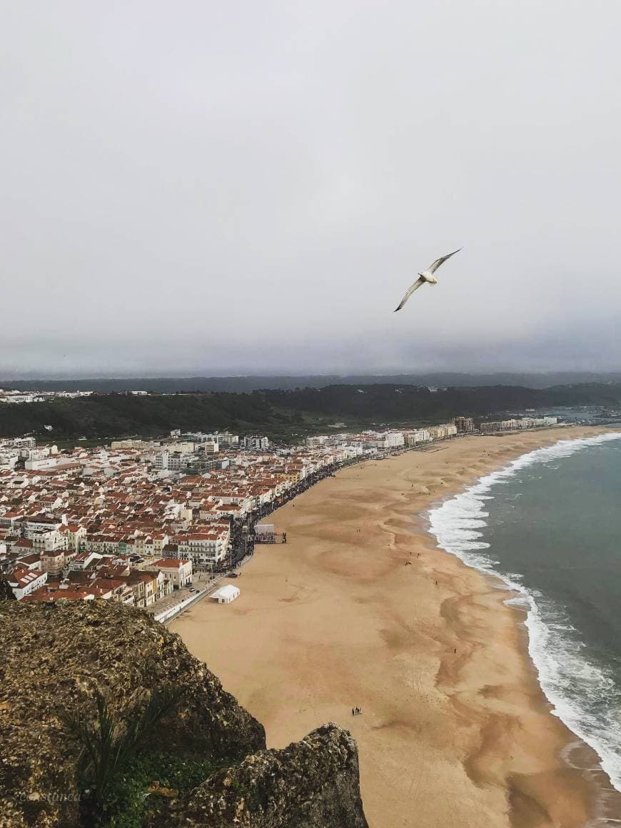 Place Nazare Beach