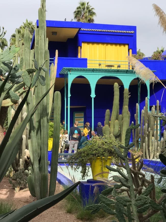 Lugar Jardín Majorelle