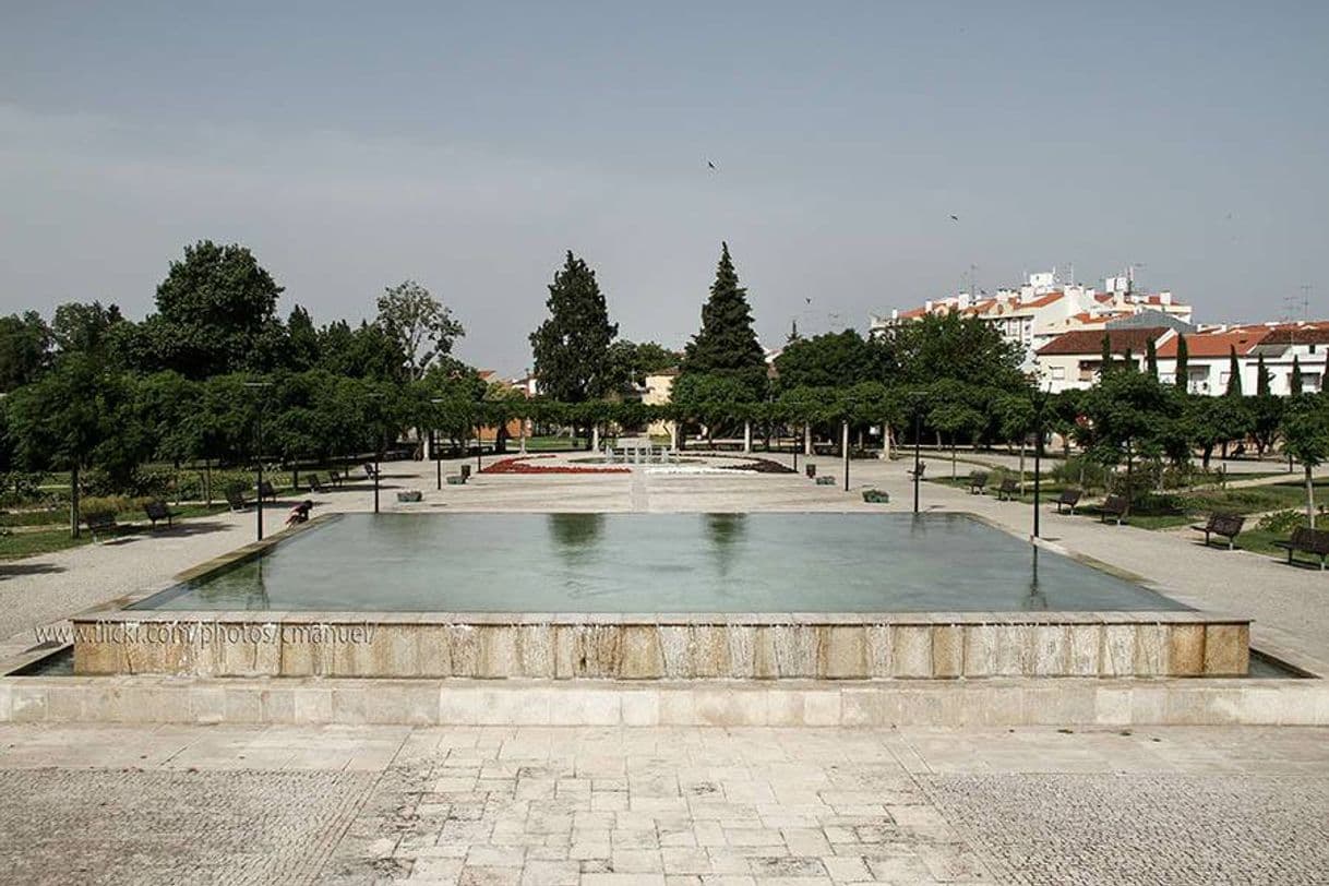 Place Parque Da Cidade