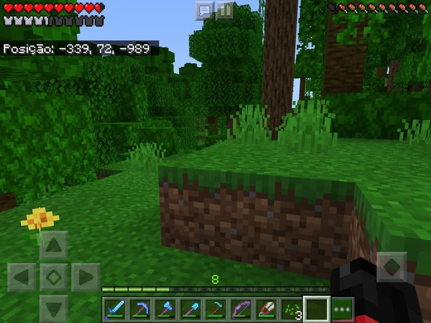 App Minecraft