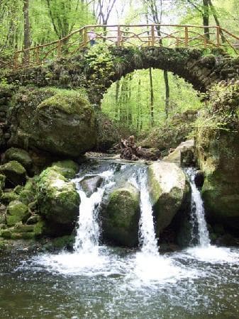 Place Mullerthal Cascades