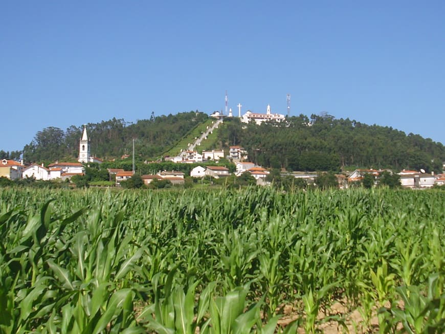 Place Monte São Félix