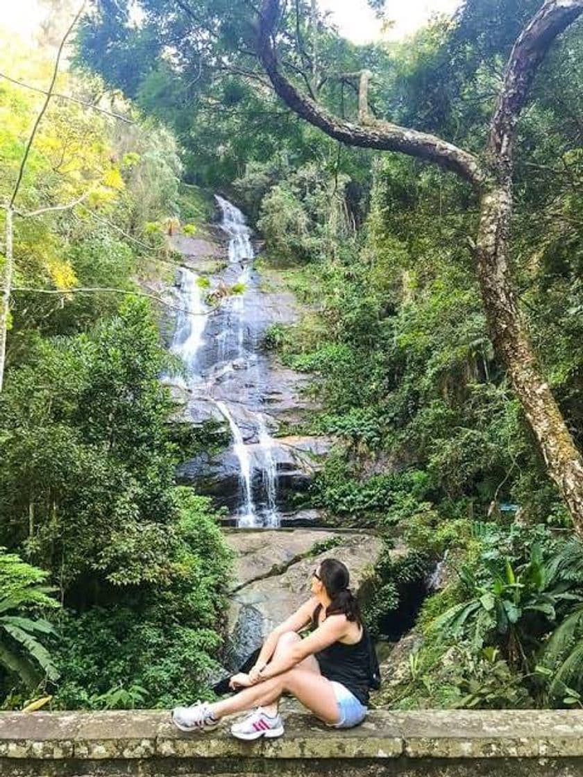 Lugar Floresta da Tijuca