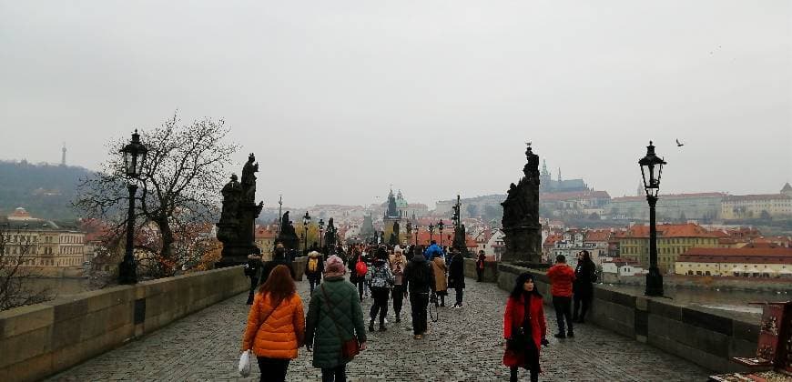 Place Charles Bridge