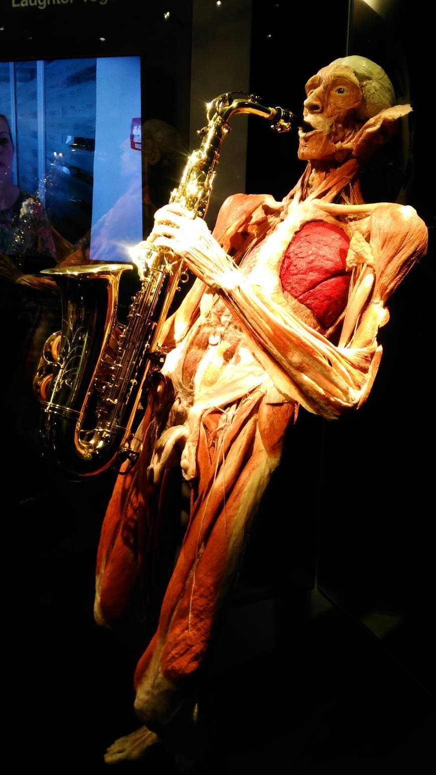 Place Body Worlds