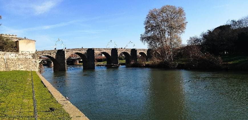 Place Pont Vieux