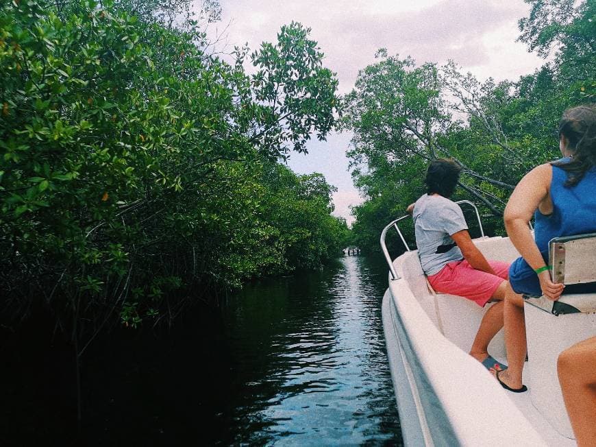 Lugar Cayo Guillermo - Cuba