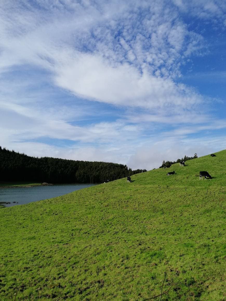 Place Lagoa de São Brás