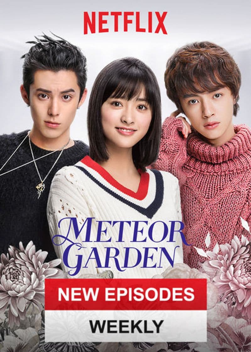 Serie Meteor Garden | Netflix Official Site