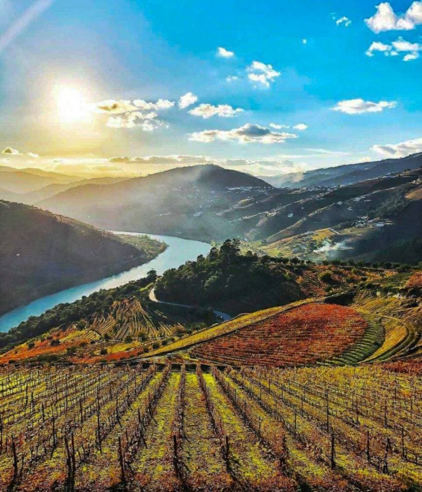 Place Vale do Douro