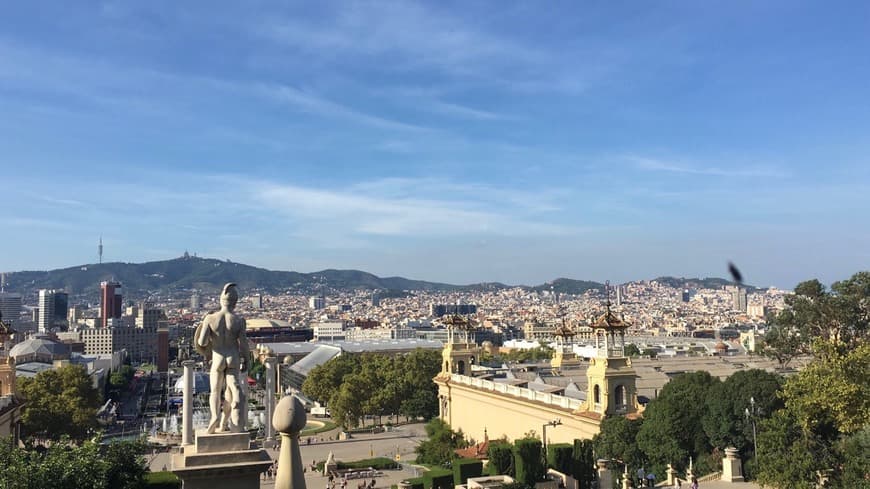 Lugar Museo Nacional de Arte de Cataluña