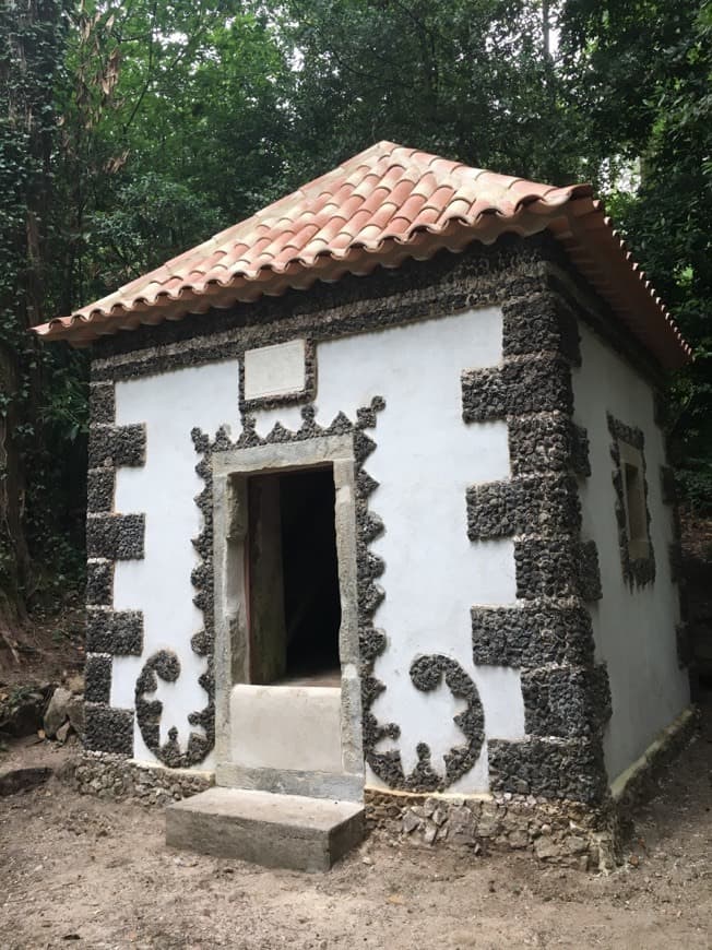 Lugar Mata Nacional do Buçaco