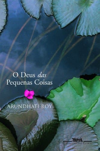 Book O Deus Das Pequenas Coisas