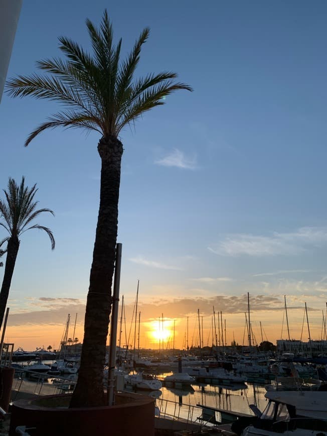 Place Marina de Vilamoura