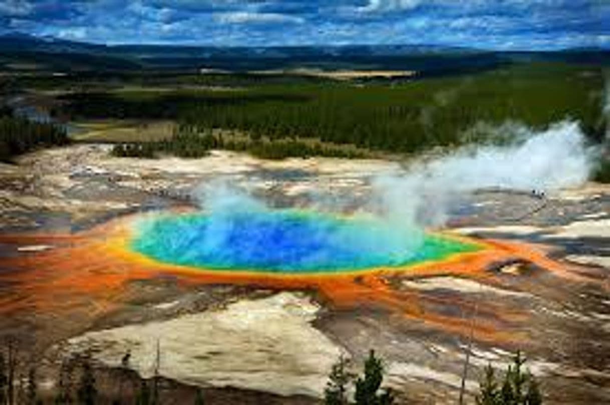 Place Yellowstone National Park