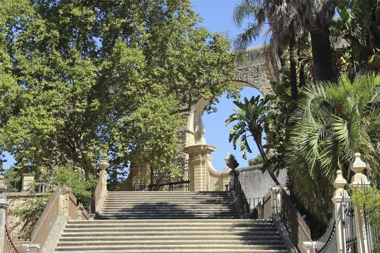 Lugar Jardim Botânico da Universidade de Coimbra