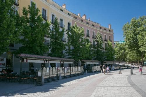 Place Central Palace Madrid