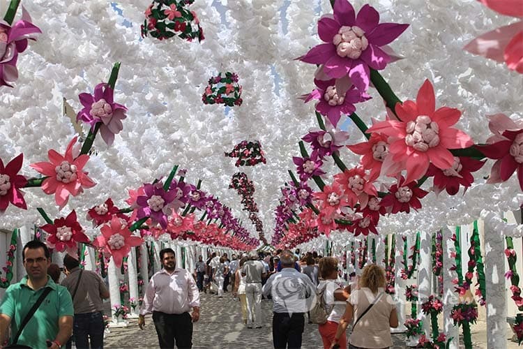 Lugar Associação das Festas do Povo de Campo Maior