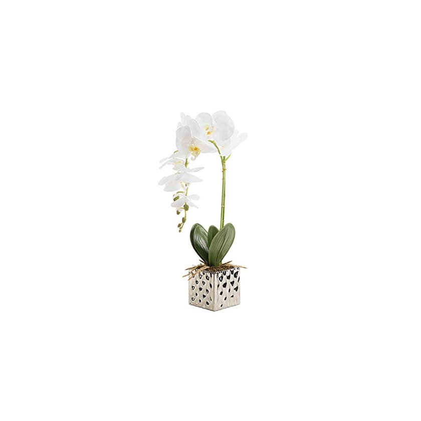 Elemento de la categoría hogar CLOCOLOR Flores artificiales de orquídeas Bonsái de Phalaenopsis con maceta de alta