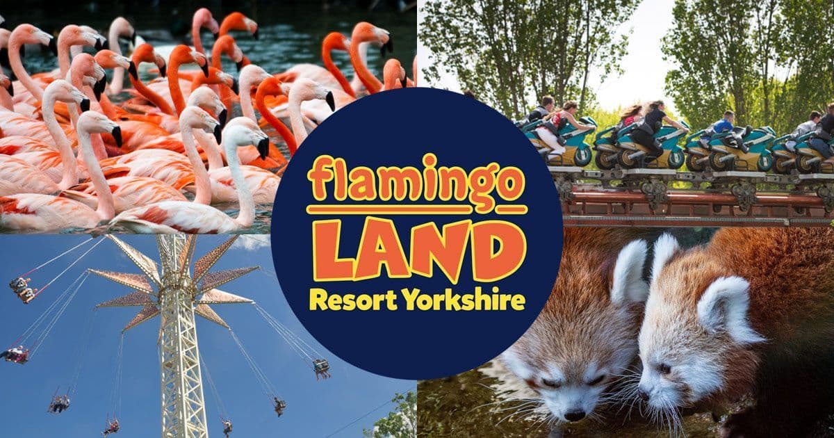 Lugar Flamingo Land Resort