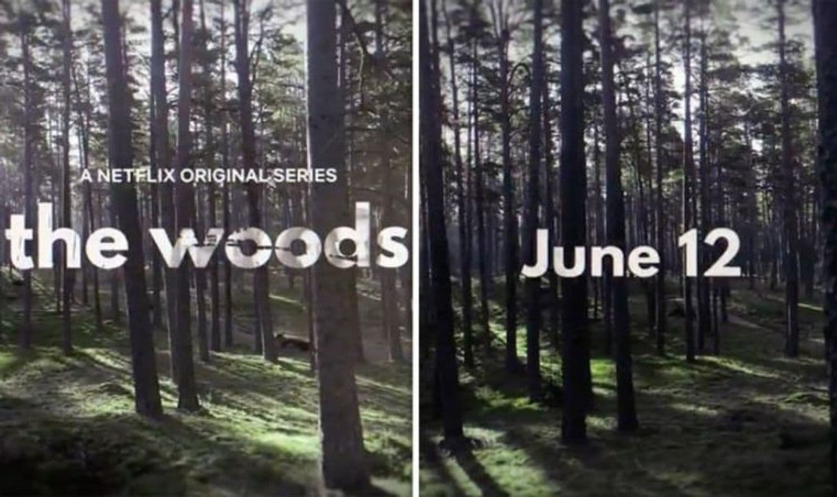 Serie The Woods