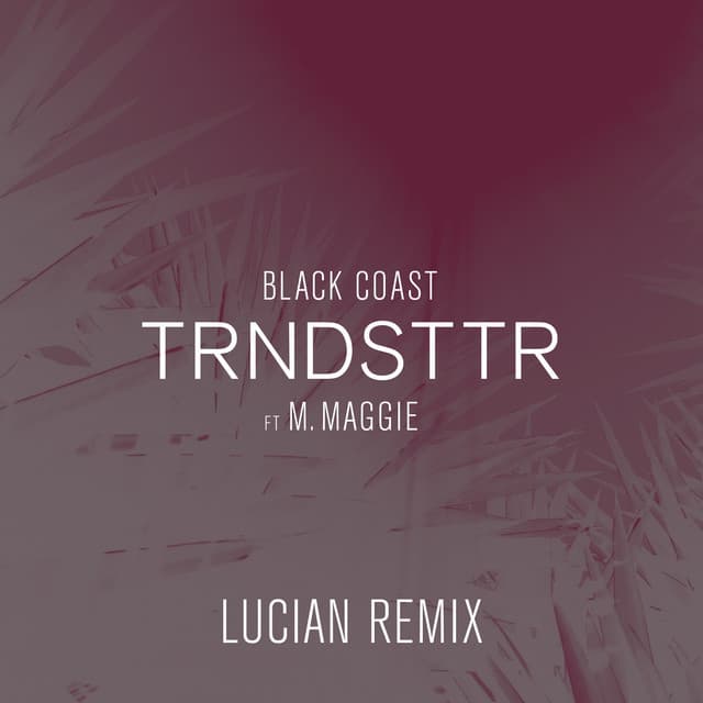 Music Trndsttr - Lucian Remix