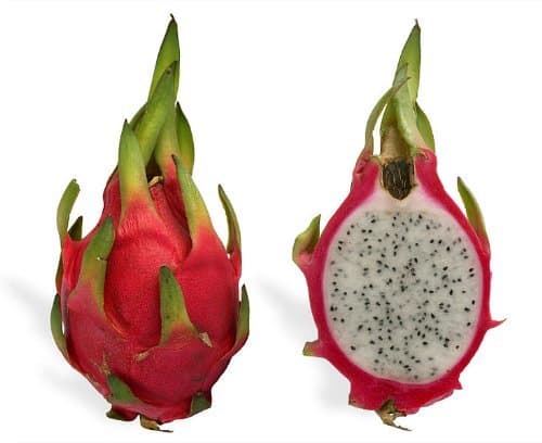 Lugar 20 WHITE DRAGON FRUIT