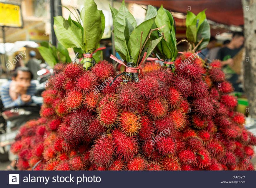 Lugar Rambutan