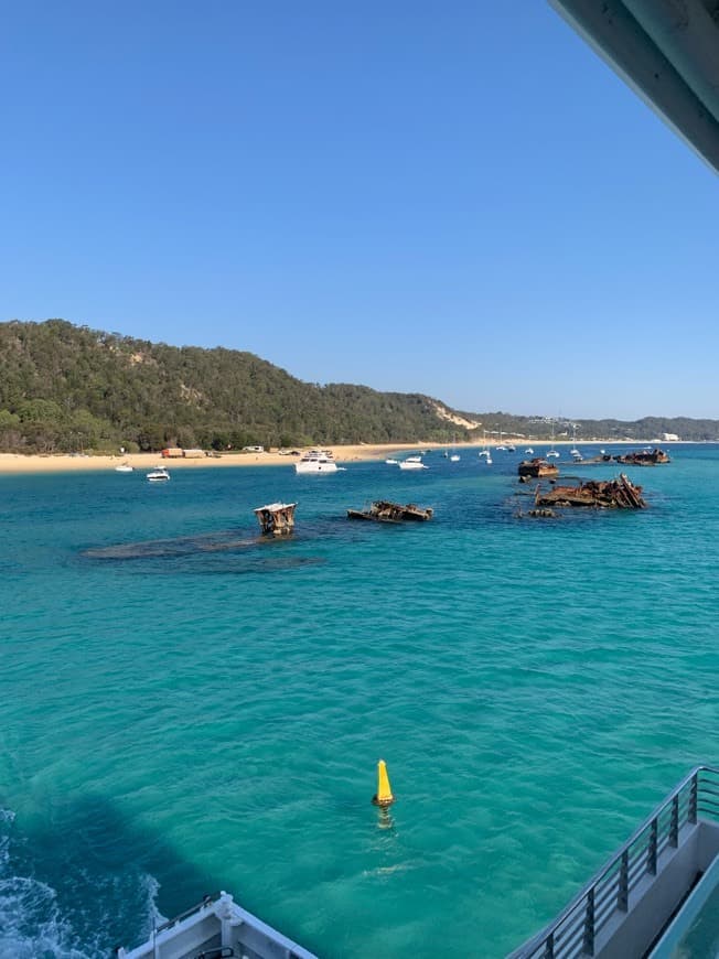 Place Moreton Island