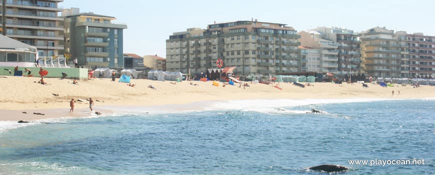 Place Praia da Salgueira