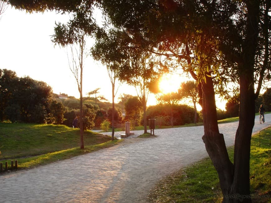 Place Parque da Cidade