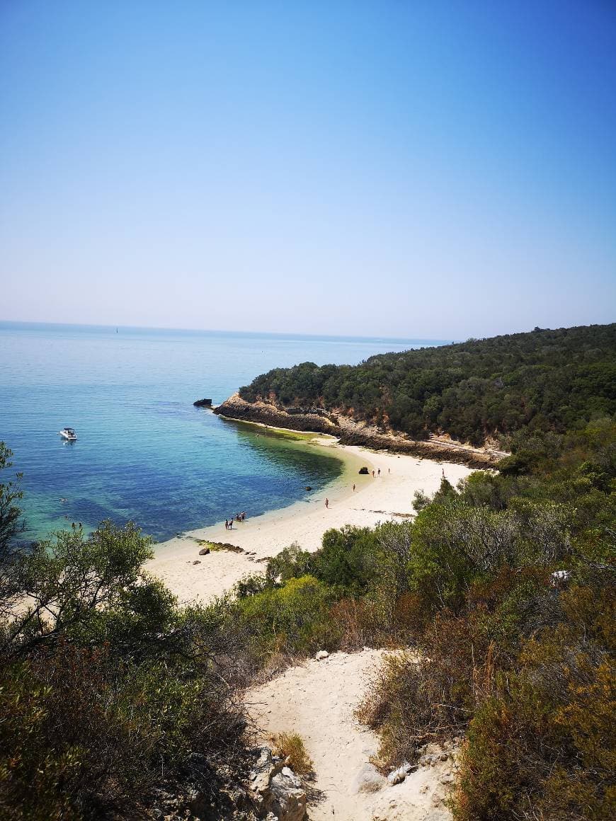 Lugar Praia dos Galapinhos