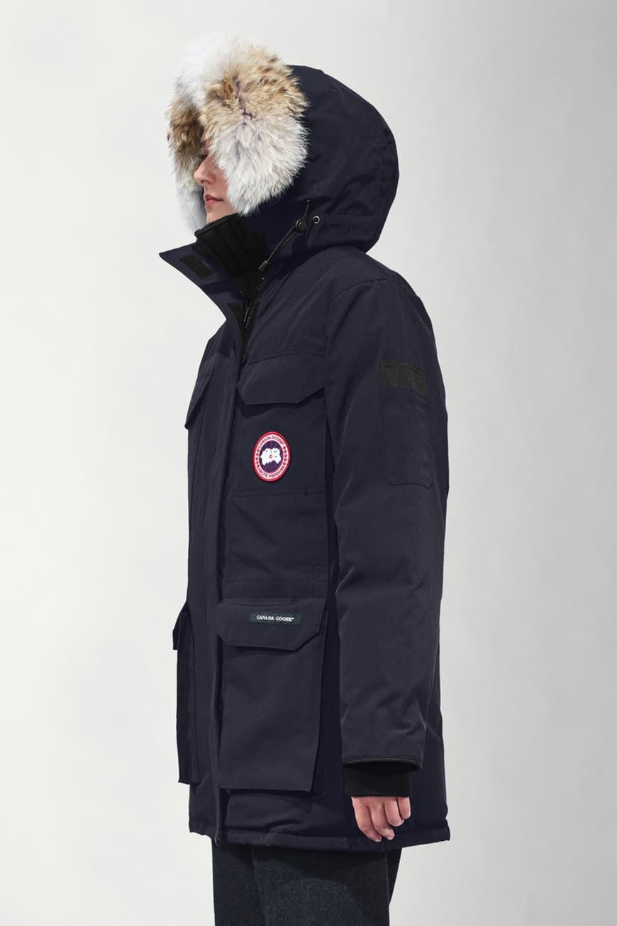 Fashion Canada goose