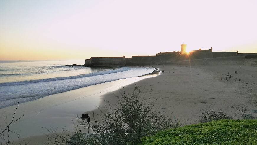 Lugar Torre's beach