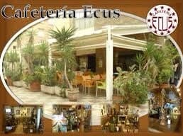 Restaurants Cafe Ecus